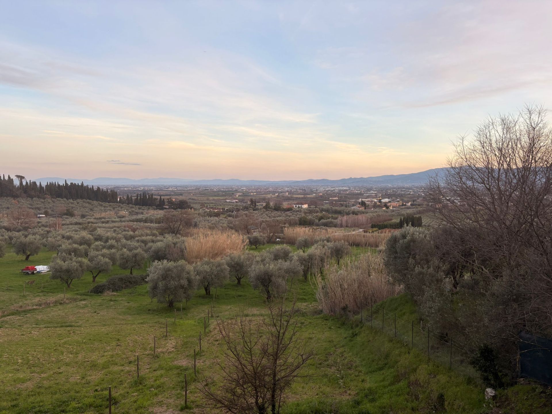 Panorama dalla collina degli ulivi
